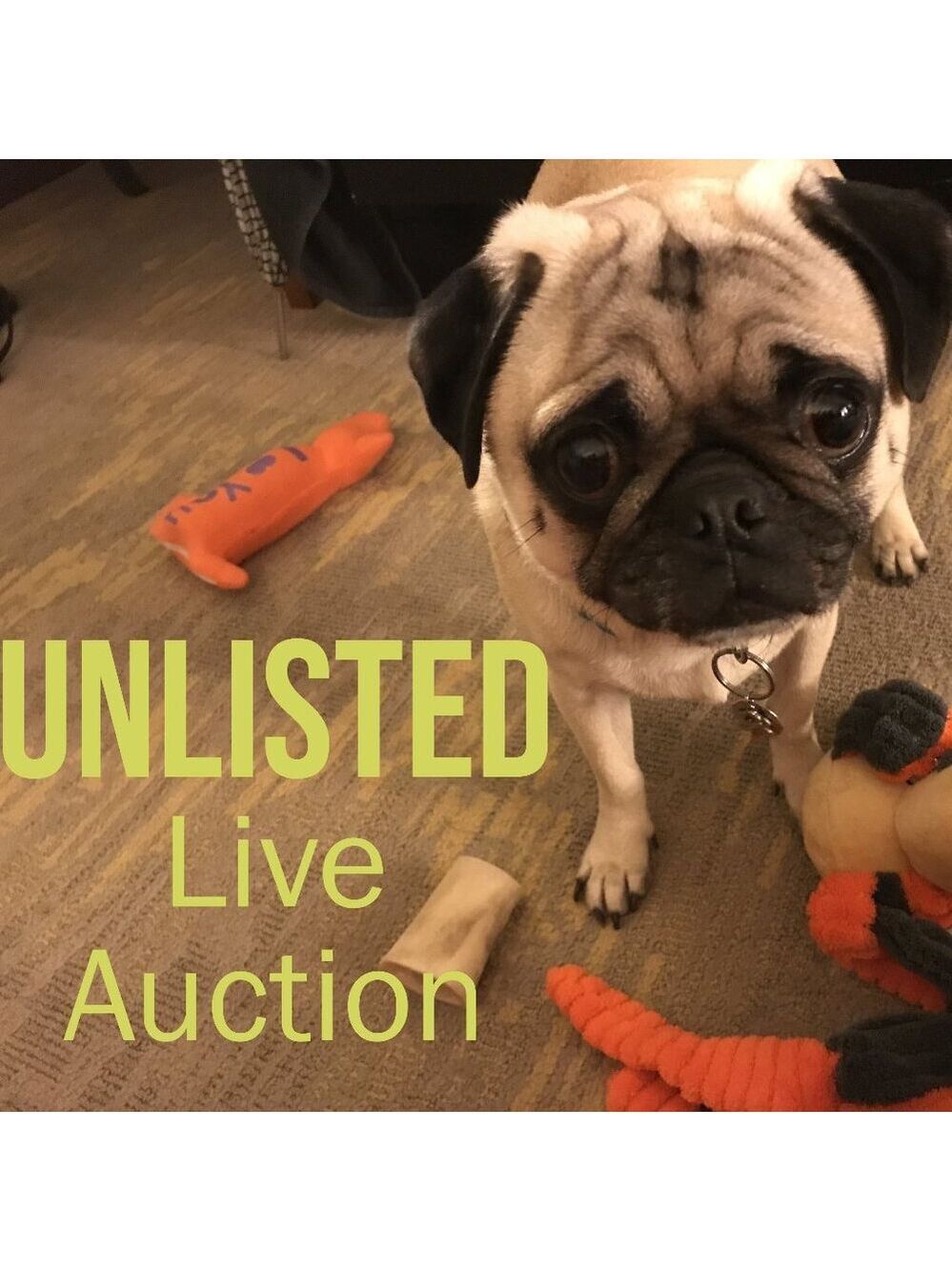 UNLISTED Live Show Item